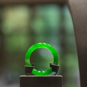 陽綠 紫羅蘭 飄花 春彩 冰種翡翠手鐲 天然翡翠A貨